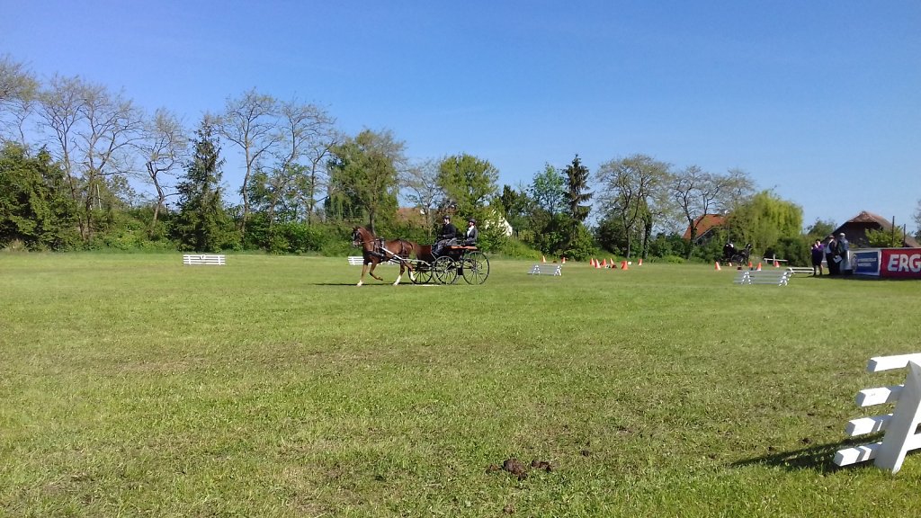 20170514-092841.jpg