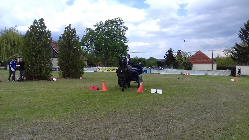 20170514-141011.jpg