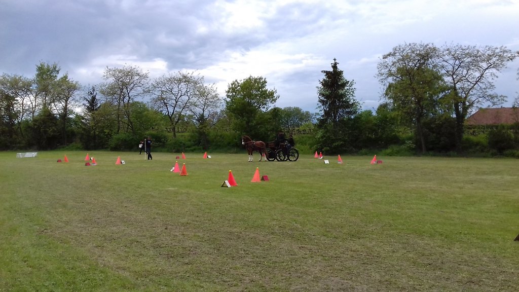 20170514-142941.jpg